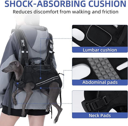 Dog Lift Harness for Small Dogs,Dog Backpack Carrier,Adjustable Padded Breathable Straps for Dogs, Disabled, Joint Injuries, Arthritis,XL(24-35LBS)