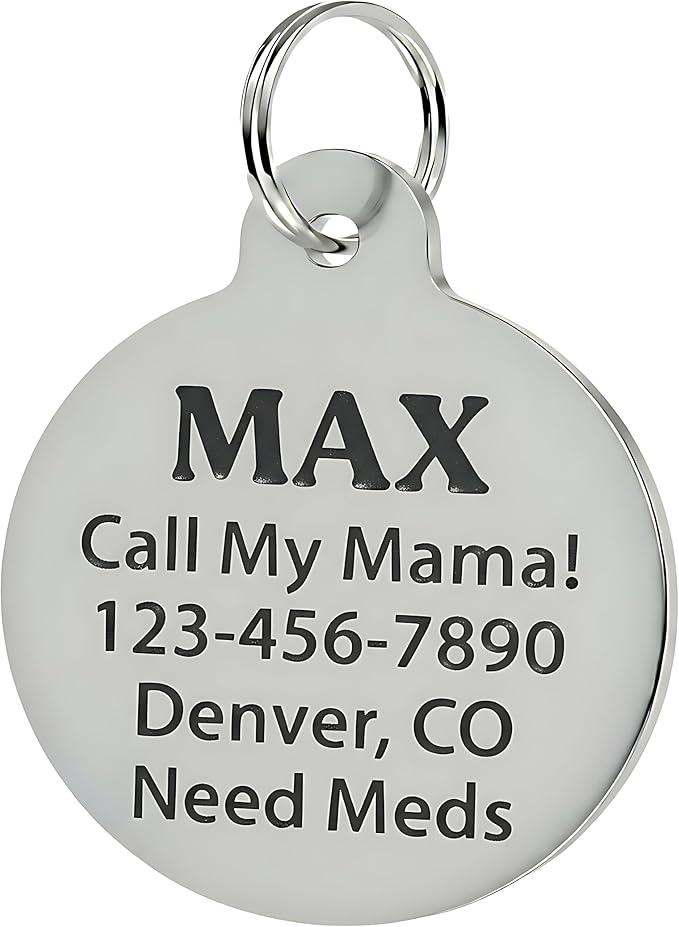 Bad Tags Personalized Dog and Cat ID Tags in 25+ Designs and 2 Sizes - 5 Lines of Custom Engraved Text - Funny Cute Personalized Pet Tags (Crotch Goblin, Large (1.25 inch))