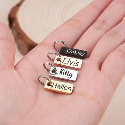 Anavia Small Size Dog Cat ID Tags, Small/XS Personalized Color Plated Stainless Steel Puppy Kitten Name Tags, Customized Engraved Nameplate Pet Collar Tag (Silver, XS-Rectangle)
