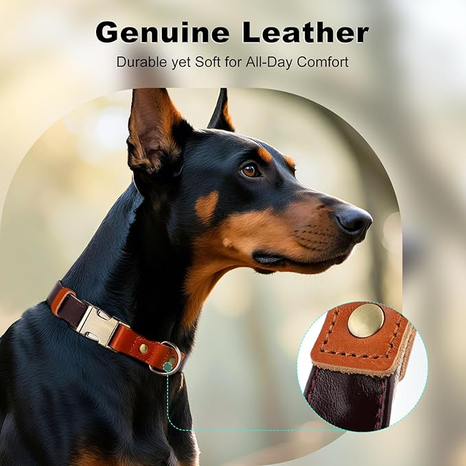 Plutus Pet Genuine Leather & Hemp Dog Collar – Adjustable Heavy Duty Pet Collar with Quick Release Metal Buckle, Soft & Stylish for Puppy and Small, Medium, Large Dogs (Copper Brown, M)