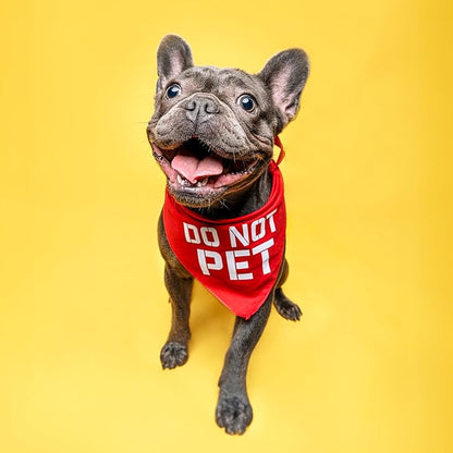 Do Not Pet Dog Bandana (Royal, OS 157)