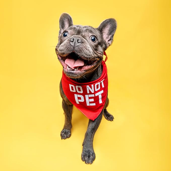 Do Not Pet Dog Bandana (Purple, XS 157)