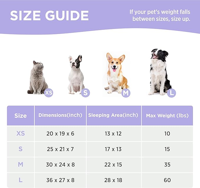 LE SURE Cute Dog Bed for Small Dogs - Washable Puppy Beds,Cozy Rectangle Orthopedic Pet Sofa with Jacquard Shaggy Plush & Anti Slip Bottom,25x21x7inches