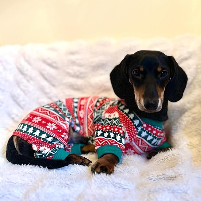 Fitwarm Dog Christmas Outfit, Holiday Pet Clothes for Small Dogs Boy Girl, Festive Pajamas with Feet, Puppy Onesie, Red, Green, Medium