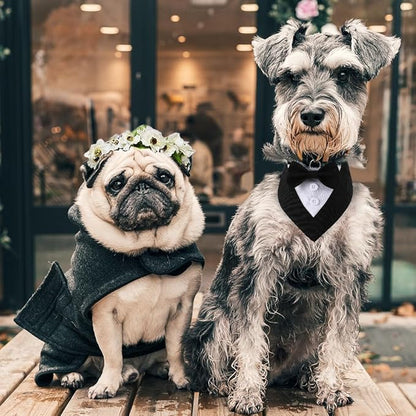 Formal Dog Tuxedo Adjustable Pet Collar with Bow, Small, Medium and Large Dog Wedding Clothing, Birthday Gifts