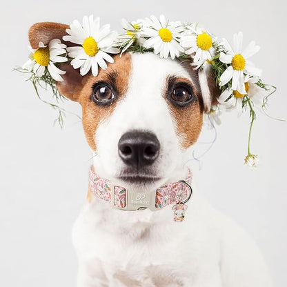 Easter Dog Collar for Small Dogs - Pink Girly Bunny Dog Collars, Cute Girl Dogs Easter Collar, Adjustable Female Spring Holiday Pet Collars with Quick Release Buckle XS