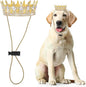 Abbylike Pet Rhinestone King Crown, Queen Crown for Birthday New Year Costume for Small Dog Cat Cosplay Party Accessories Adoption Celebration Wedding Birthday Photos Prop Costume(White,Large)
