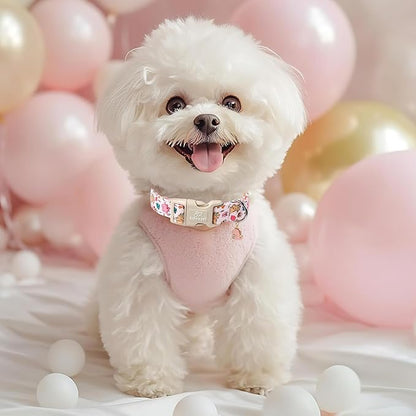 Cute Dinosaur Dog Collar, Adjustable Pink Dino Dog Collars for Puppy Small Dogs, Lightweight Quick-Release Buckle Birthday Collar for Boy&Girl Dogs XS