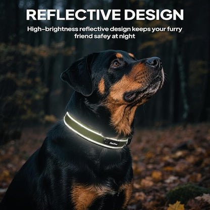 PetiFine Dog Collars for Small Dogs, Neoprene Padded Dog Collar, Reflective Heavy Duty Pet Collars with Durable Metal Belt Buckle for Walking, Green, S