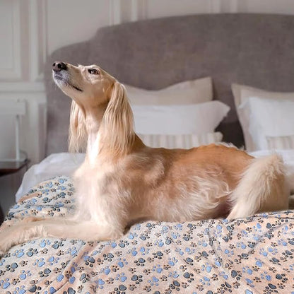 Dog Blankets for Large Dogs, 3 Pcs Dog Blanket Washable, Soft Fluffy Flannel Pet Blanket Mat Cover for Bed Couch, Cute Print Puppy Blanket 60" x 50"