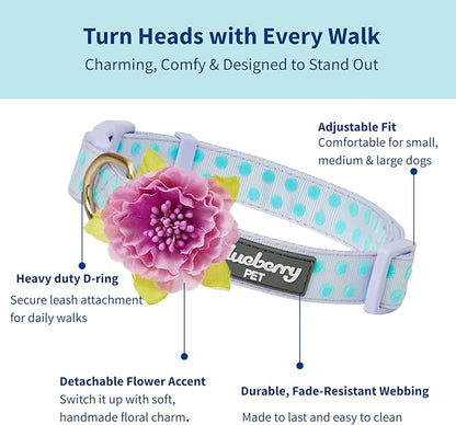 Blueberry Pet Flocking Dog Collar, Small Girl Dog Collar with Silk Flower, Polka Dot Pastel Purple, Adjustable Dog Collars for Small Dogs, 12"-16" Neck, Eco-Friendly Buckles