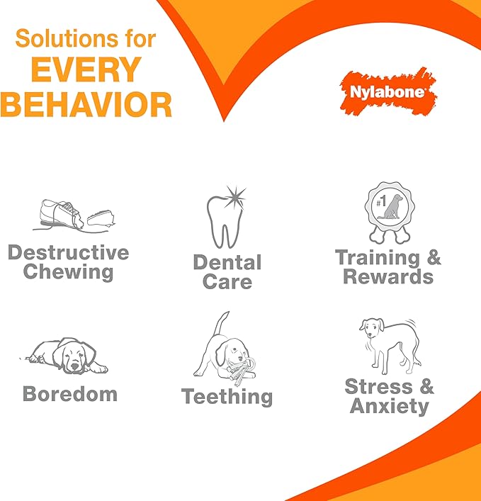Nylabone Textured Bone Power Chew Toy for Dogs, Durable & Tough Dog Toys for Aggressive Chewers, Beef Jerky Flavor, Large Dogs - Up to 50 lbs, 1 Count