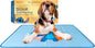 The Green Pet Shop Cool Pet Pad - Small, Disney’s Stitch - Self-Cooling, Pressure Activated Mat for Dogs & Cats from 9-20 lbs - Non-Toxic Gel, No Water Needed