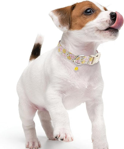 Faygarsle Floral Girl Dog Collar, Cotton Fabric with Daisies Pattern, Pink and Yellow Summer Spring Design for Small Medium Large Dogs S