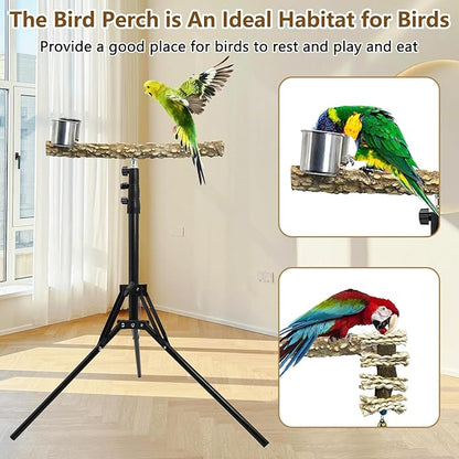 kathson 28-60inches Height Adjustable Bird Perch, Pepperwood Parrot Perch Stand with Feeding Cup, Multi-Purpose Bird Perches for Indoor and Outdoor Use, Designed for Small Medium Birds (3 PCS)