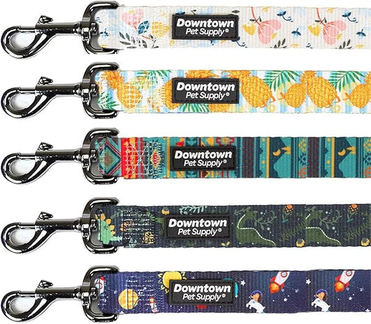 Downtown Pet Supply 6ft Dog Leash - Heavy-Duty Dog Leash with Padded Comfort Handle and Stainless Steel Fastener - Durable Dog Training Leash - Tribal - 1 in Wide