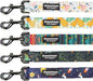 Downtown Pet Supply 6ft Dog Leash - Heavy-Duty Dog Leash with Padded Comfort Handle and Stainless Steel Fastener - Durable Dog Training Leash - Tribal - 1 in Wide