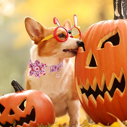 Halloween Pumpkin Dog Collar with Flower, Pink Halloween Puppy Flower Collar with Adjustable Metal Buckle,Fancy Halloween Dog Collar Bowtie Gift for Girl Boy Dog,XL