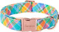 Unique style paws Easter Dog Collar Plastic Buckle Puppy Collar Colorful Plaid Puppy Collars for Small Medium Large Boys Girls Dogs