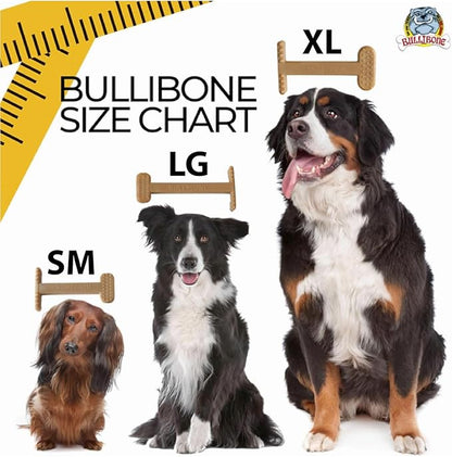 Bullibone Nylon Dog Chew Toy for Aggressive Chewers - Dental Hygiene Bone with Beef Flavor, Durable Tough Chew Toys for Extra Large Dogs, Indestructible Dog Bone - 3 Pack