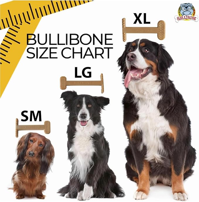 Bullibone Nylon Dog Chew Toy for Aggressive Chewers - Dental Hygiene Bone with Bacon Flavor, Durable Tough Chew Toys for Small Dogs, Indestructible Dog Bone - 2 Pack