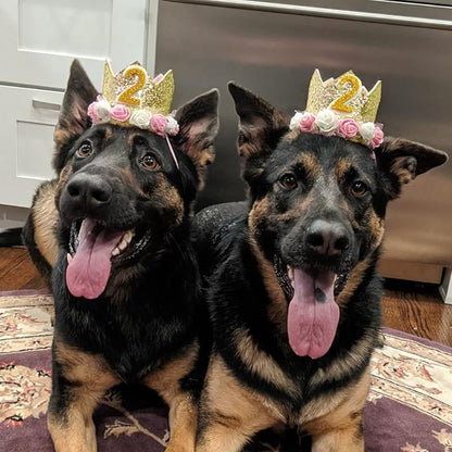Dog Birthday Crown Hat - Reusable Party Crown with 0-9 Figures Charms for Dogs & Cats - Gold