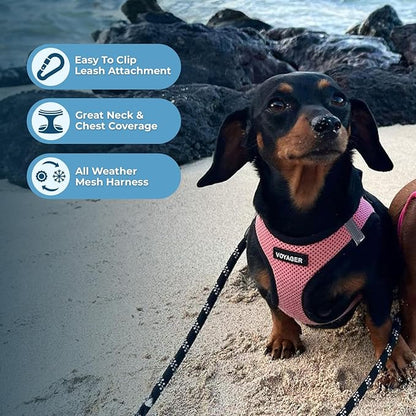 Best Pet Supplies Voyager Step-in Air All Weather Mesh Harness and Reflective Dog 5 ft Leash Combo with Neoprene Handle, for Small, Medium and Large Breed Puppies - Pink Base,S