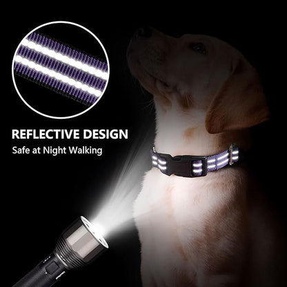Hikiko Martingale Collar for Dogs Reflective Nylon Dog Collar with Quick Release Buckle Adjustable Training No Slip Dog Collar (X-Small, Purple)