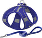 AIITLE Escape Proof Dog Harness - Step in Adjustable Dog Harness No Choke Over with Breathable Mesh and Quick-Release Buckle for All Weather- Outdoor Walking, Training for Medium Dogs Royal Blue XL
