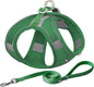 AIITLE Small Harness for Puppy with A Leash - Dog Vest Harness with Super Breathable Mesh, Reflective No-Pull Pet Harness for Outdoor Walking, Running for Small Dogs, Cats Green XXS