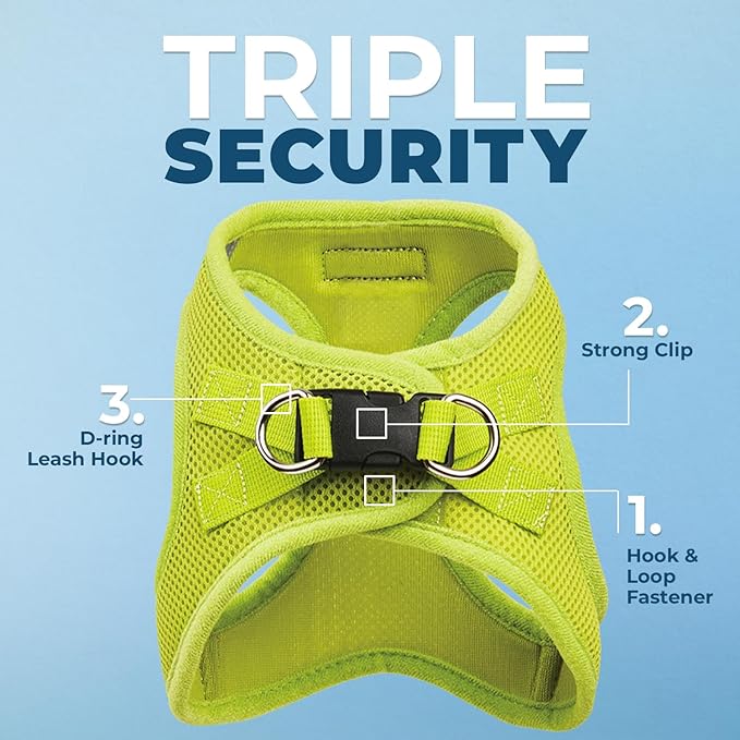 Best Pet Supplies Voyager Step-in Air All Weather Mesh Harness and Reflective Dog 5 ft Leash Combo with Neoprene Handle, for Small, Medium and Large Breed Puppies - Set (Lime Green), M
