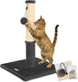 Happi N Pets Cat Scratching Post, Cat Scratcher for Indoor Cats, Sisal Scratching Post & Carpet Post in One, Stable Kitten Scratching Post with Replaceable Toy, Extra Free Toy, Smokey Gray
