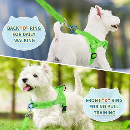 SlowTon No Pull Small Dog Harness and Leash Set, Puppy Soft Vest Harness Neck & Chest Adjustable, Reflective Lightweight Harness & Anti-Twist Pet Lead Combo for Small Medium Dogs (Green-Front Clip,XS)