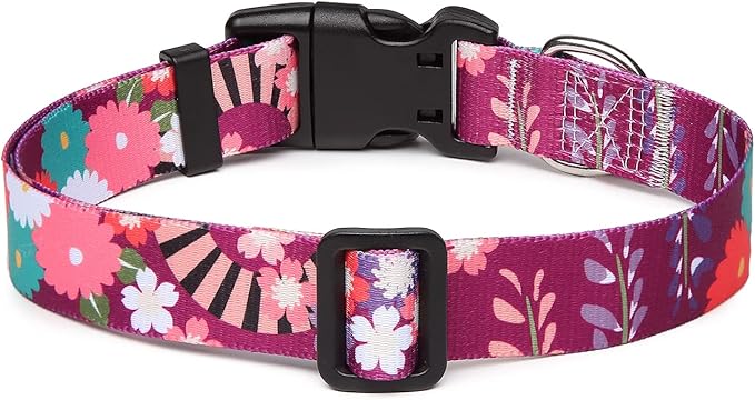 Mercano Adjustable Dog Collar - Special Design Patterns, Soft Nylon Comfortable Durable Pet Collar for Small Medium Large Dogs (XS, Colorful Flower)