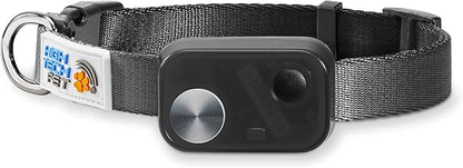 MS-5 Econ Series Automatic Pet Door Collar by High Tech Pet Brand - Value Priced Dependable Performance - Waterproof - Rugged - Battery Included - USA Support (Black)