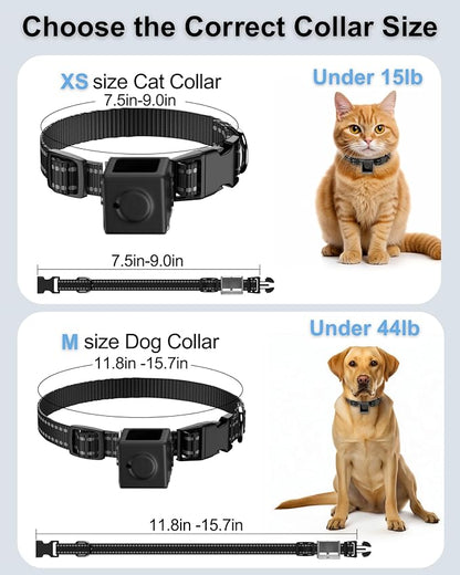 Cat Camera Collar 1080P HD Video Recording Pet POV Cam, NO WiFi NO APP, Mini Action Cameras for Cats/Dogs Tracking(No Micro-SD Card Included)