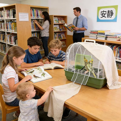 Small Bird Cage, Transparent Bird Travel Carrier, Full View Cockatiel Cage with Sturdy Design, Compact Aviary with Durable Construction, Indoor Outdoor Balcony Living Room Park Parakeet