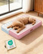 OhGeni Orthopedic Waterproof Dog Bed for Small Dogs, Machine-Washable Removable Cover in Easy-Clean Fabric, High Density Foam & Easy-Carry Handle, Suitable for Crate, 24 inch (Pink)