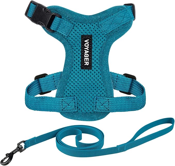 Voyager Escape-Proof Step-in Lock Cat Harness & 5ft Neoprene-Handle Leash Set All-Weather Mesh with Reflective Stitching for Small to Large Cats by Best Pet Supplies, Turquoise, XXXS