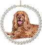 Chunky Pearl Dog Collar Large Breed (0.55 Inch), Adjustable Dog Necklace, Beaded Dog Collar Imitation White Pearls, Elegant Girl Dog Jewelry Accessories for Large Dogs
