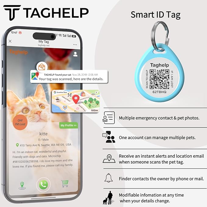 Peace of Mind for Cat Owners: 2-Pack QR ID Tags. The Microchip Backup That Talks. Scan for Instant Contact & Medical Info - Always Free (Blue&Blue, for cat - 1")