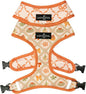 Lucy & Co. Cute Reversible Dog Harness Walking Halter - Best Designer Pet Harnesses for XS - XL Dogs - Padded Adjustable Vest for Easy Walking-XLarge-Orange Cream Pumpkin