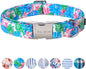 Unique Style Paws Metal Buckle Banana Leaves Dog Collar, Durable & Cute, Suitable for Small, Medium & Large Dogs, Unique Design, Superior Craftsmanship, Exceptional Customer Service