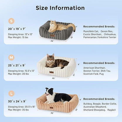 Small Dog Beds for Small Dogs - Washable Cat Beds for Indoor Cats, Rectangle Orthopedic Puppy Bed with Fluffy Removable Cover, 20x19x7inches, Cream
