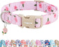 Faygarsle Pink Floral Dog Collar with Roses Pattern, Spring Summer Design for Small Medium Large Dogs M