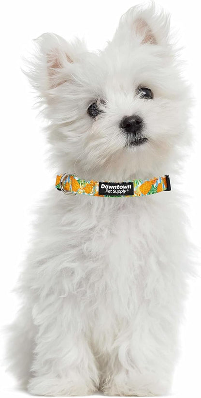Downtown Pet Supply - Best & Fancy Dog Collar - Lightweight Adjustable with Quick Buckle & D-Ring - Hand Wash Safe - Pineapple - M - Medium