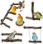 BNOSDM Natural Wood Bird Ladder Perch 6Pcs Parrot Stand Branches Climbing Chewing Stick Parakeet Swing Toys Cage Accessories Paw Grinding Fork Sets for Lovebirds Cockatiels Conure Budgies