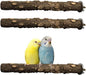 PINVNBY 3Pcs Bird Perches for Cage, Nature Wood Prickly Parrot Stand Toy Paw Grinding Stick for Small Medium Birds Parrot Parakeet Cockatiel Conure Cage Accessory