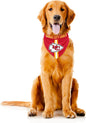Littlearth NFL Denver Broncos Pet Bandana
