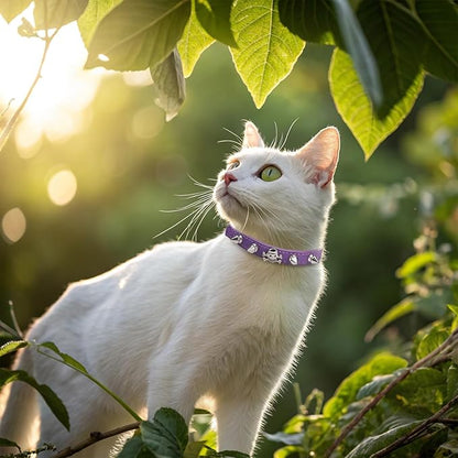 EXPAWLORER Leather Cat Collar for Girl Boy- Adjustable Pet Collar with Safety Elastic Belt,Personalized Punk Accessories Buckle Collars with Bell & Durable D-Ring, Rivet(Purple)
